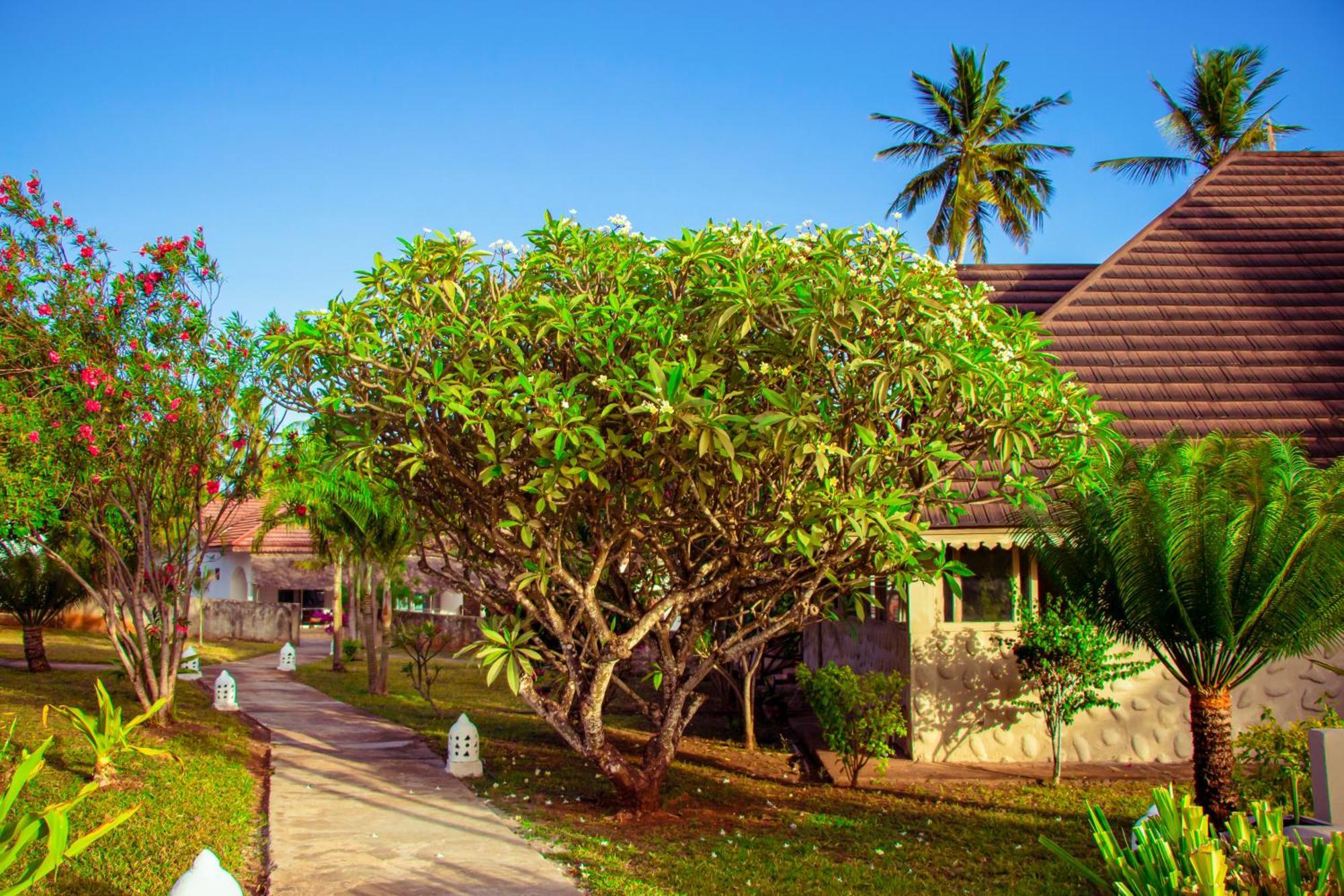 Mandarin Resort Zanzibar Кизимкази Экстерьер фото